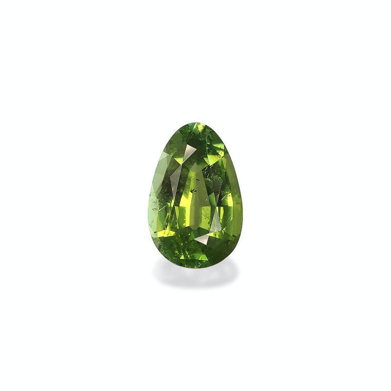 Tourmaline Verte taille Poire Vert 11.64 carats