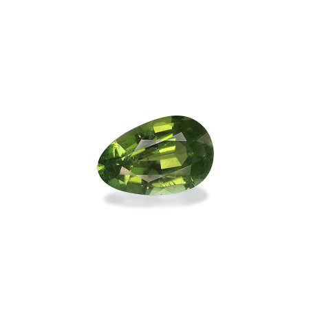 绿色电气石 taille 梨子 绿色 11.64 carats