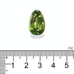 Groene Toermalijn Peer geslepen Groen 11.64 karaat