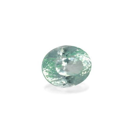 帕拉伊巴电气石 taille 椭圆形 淡绿色 3.50 carats