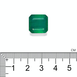 Emeraude de Zambie taille CARR&Eacute; Vert 10.70 carats