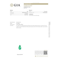 Paraiba Toermalijn Peer gesneden Zeegroen 6,76 karaat