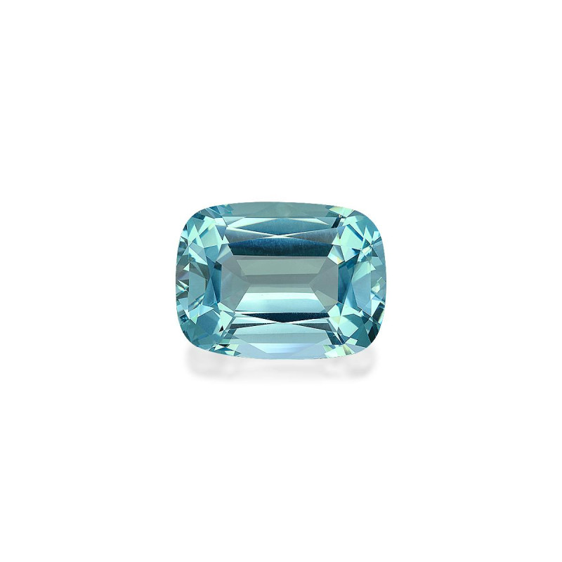 Aquamarin lengte KISSEN Arktisches Blau 76.53 karaten