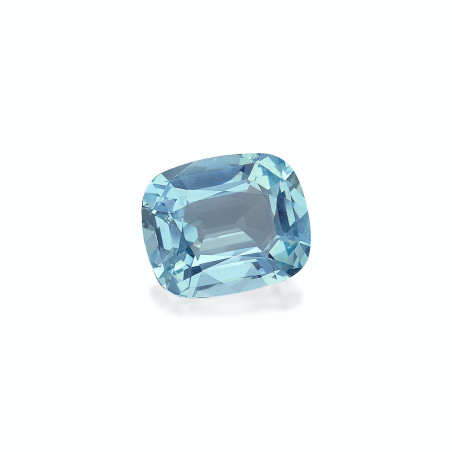 海蓝宝 taille 靠垫 蓝天 32.60 carats
