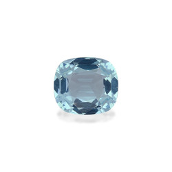 海蓝宝 taille 靠垫 蓝天 9.73 carats