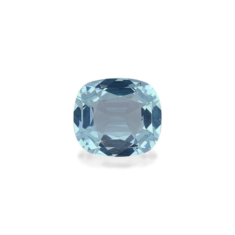 海蓝宝 taille 靠垫 蓝天 9.73 carats