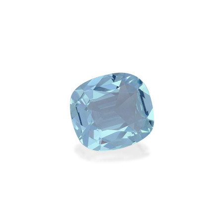 海蓝宝 taille 靠垫 蓝天 9.73 carats