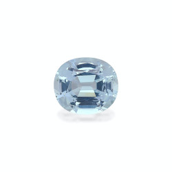 海蓝宝 taille 椭圆形 绿色 16.94 carats