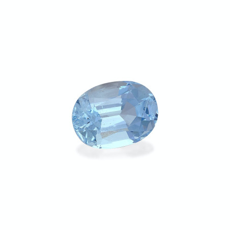 海蓝宝 taille 椭圆形 绿色 6.43 carats