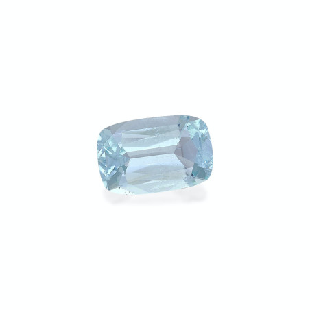 海蓝宝 taille 靠垫 绿色 4.98 carats