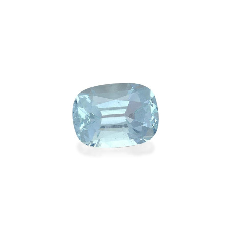 海蓝宝 taille 靠垫 绿色 6.65 carats