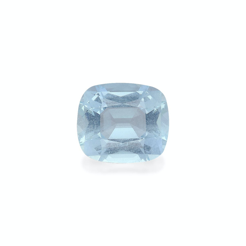 海蓝宝 taille 靠垫 蓝天 9.61 carats
