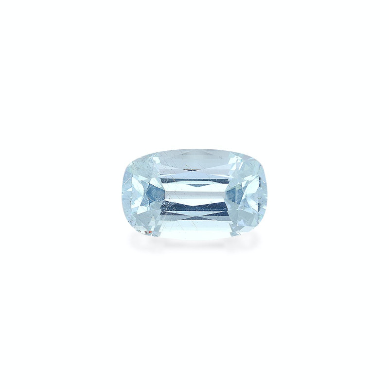 海蓝宝 taille 靠垫 绿色 8.48 carats