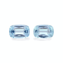 海蓝宝 taille 靠垫 绿色 6.47 carats
