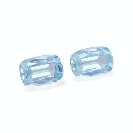 海蓝宝 taille 靠垫 绿色 6.47 carats