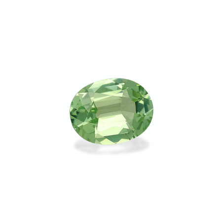 绿色电气石 taille 椭圆形 青柠绿 6.72 carats