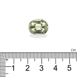 Tourmaline Verte taille OVALE Vert P&acirc;le 8.19 carats