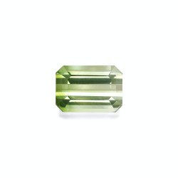 bi colour tourmaline taille...