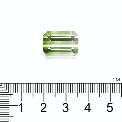 bi-kleurige toermalijn rechthoekige snit 11,81 karaat