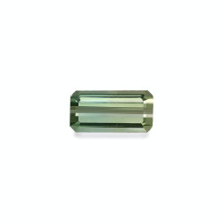 bi colour tourmaline taille...