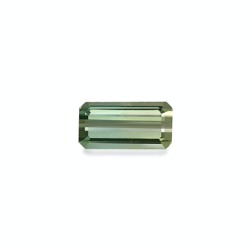 bi colour tourmaline taille RECTANGULARE  15.48 carats
