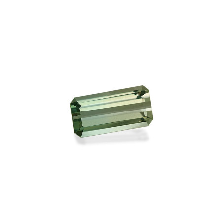 bi colour tourmaline taille 矩形的  15.48 carats