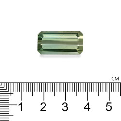 bi-kleurige toermalijn rechthoekige snit 15,48 karaat