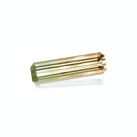 bi colour tourmaline taille 矩形的  25.70 carats