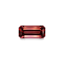 Turmalina rosa taille...