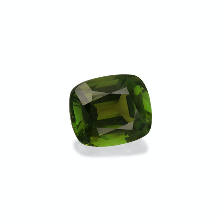 Tourmaline Verte taille COUSSIN Moss Green 9.83 carats