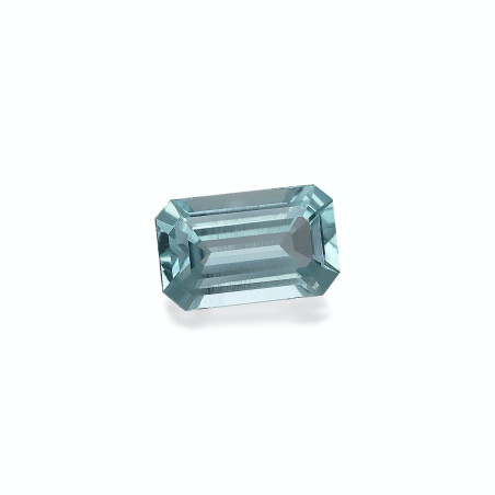 海蓝宝 taille 矩形的 淡绿色 8.92 carats
