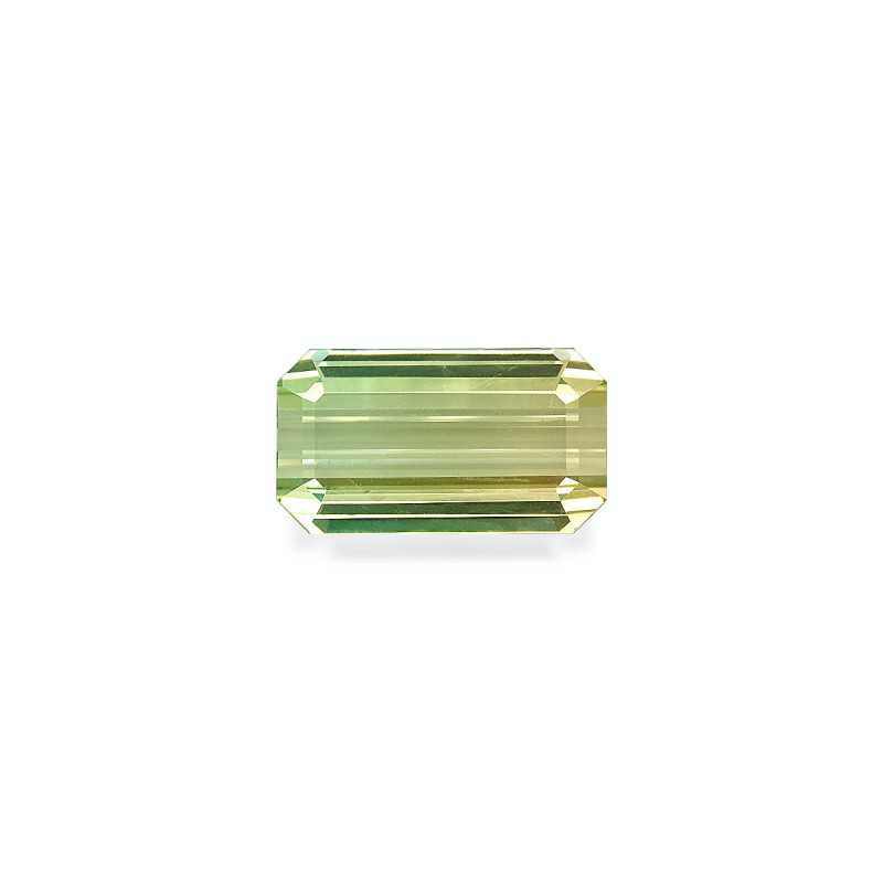 RECTANGULAR-cut bi colour tourmaline  44.29 carats