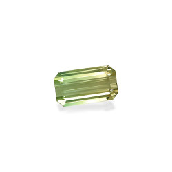 bi-kleurige toermalijn rechthoekige snit 44,29 karaat