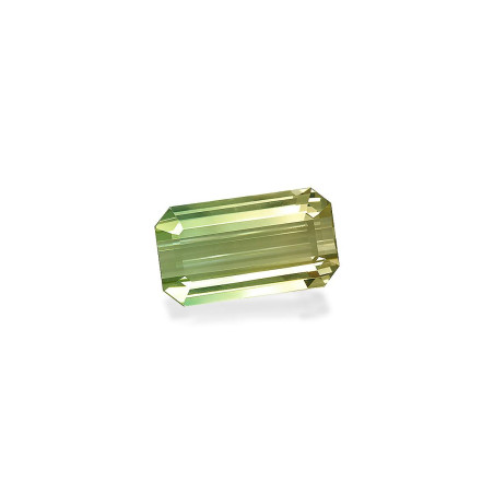 bi colour tourmaline taille 矩形的  44.29 carats