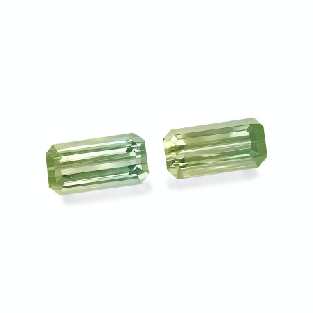 bi colour tourmaline taille 矩形的  25.52 carats