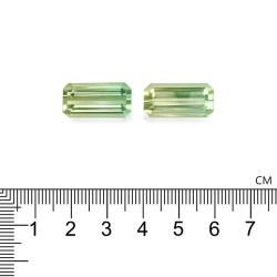 bi-kleurige toermalijn rechthoekige snit 25,52 karaat