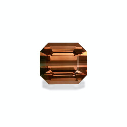 bi colour tourmaline taille...