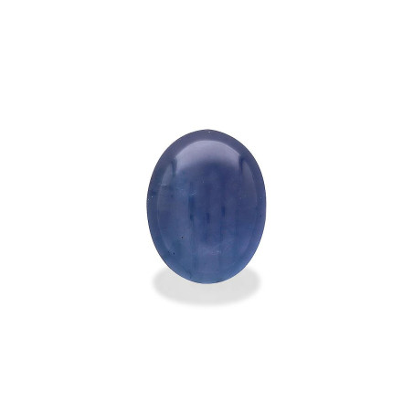 蓝色星光蓝宝石 taille 椭圆形 蓝色 17.81 carats