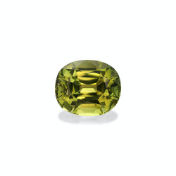 Tourmaline Verte taille...