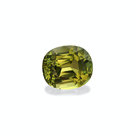 绿色电气石 taille 靠垫 森林绿 6.18 carats