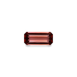 Turmalina rosa taille...