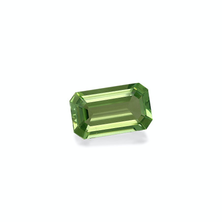 绿色电气石 taille 矩形的 绿色 4.56 carats
