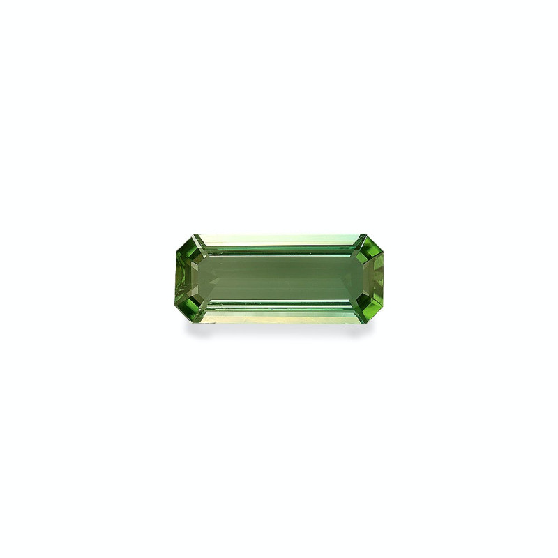 RECTANGULAR-cut Green Tourmaline Green 4.26 carats