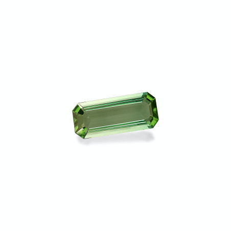 绿色电气石 taille 矩形的 绿色 4.26 carats
