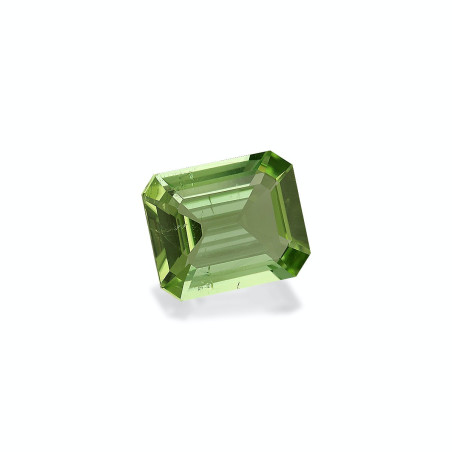 绿色电气石 taille 矩形的 绿色 7.07 carats