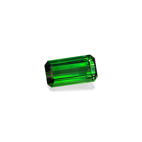 RECTANGULAR-cut Green Tourmaline Green 30.96 carats