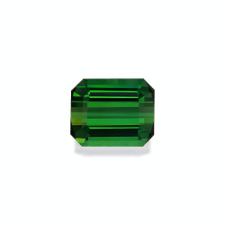 Tourmaline Verte taille...