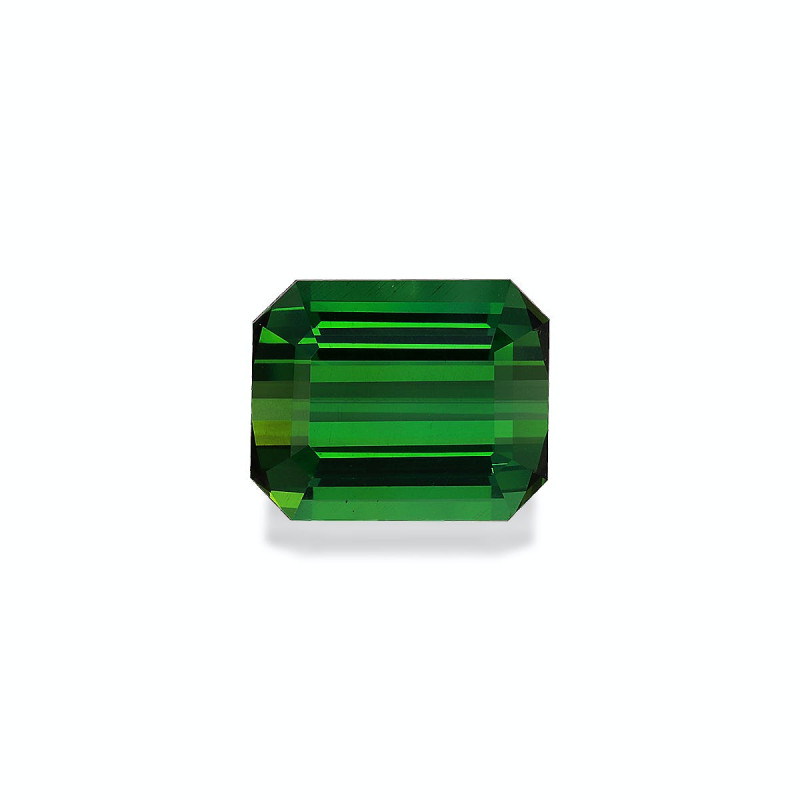 Tourmaline Verte taille RECTANGULARE Vert 21.35 carats