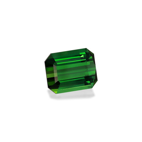 绿色电气石 taille 矩形的 绿色 21.35 carats