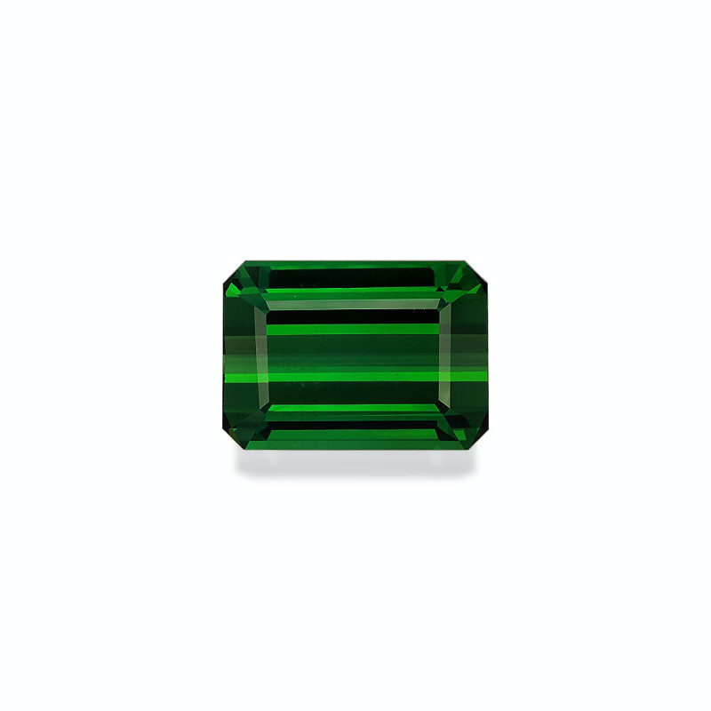 Tourmaline Verte taille RECTANGULARE 绿色 21.49 carats